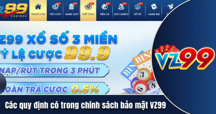 Các quy định có trong chính sách bảo mật VZ99