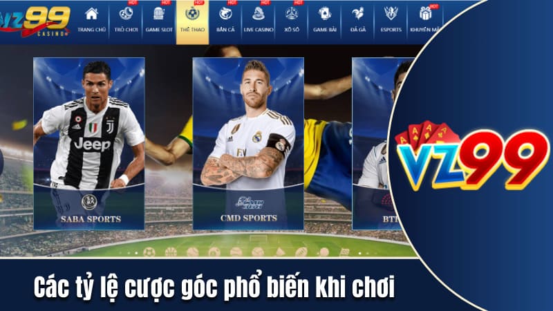 Các tỷ lệ cược góc phổ biến khi chơi