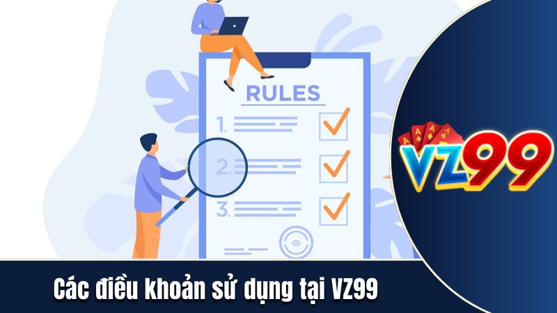 Các điều khoản khi sử dụng dịch vị tại VZ99