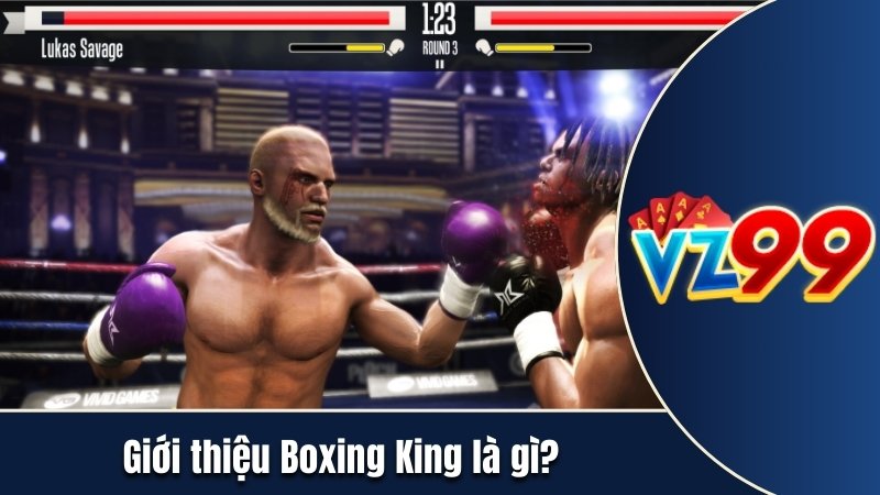 Giới thiệu Boxing King là gì?
