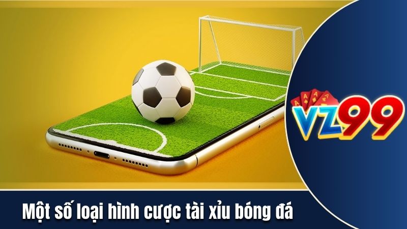 Một số loại hình cược tài xỉu bóng đá