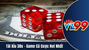 tài xỉu 30s vz99 ahssa info